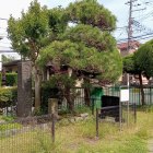 腹切り松公園　三浦大介戰死之處