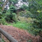 物見岩奥の堀切跡