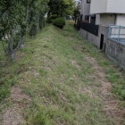 三の丸 土塁跡