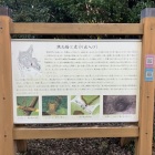 跳ね橋と虎口