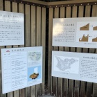 長浜城略史