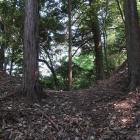 北東尾根の堀切