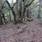 主郭北辺の土塁