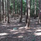 主郭。南端の土壇はのろし台とも