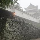 雨に煙る定番ショット