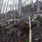 東面切岸の石積