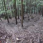 堀切の両端は竪堀となって落ちる