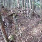 北尾根の二重堀切（外側）