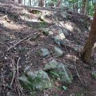 主郭北下段の小曲輪群の石積み