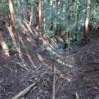 主郭部北面の竪堀