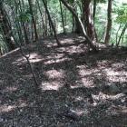 西尾値の小曲輪