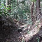 南東尾根の堀切