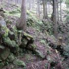中央曲輪群北面に続く石垣