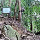 山頂まで100メートルのところに古井戸への分岐