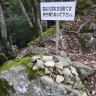 出土瓦