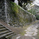 桜の馬場