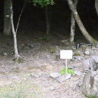 大手門跡