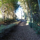 本丸東堀