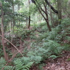 小牧山稲荷神社裏の土塁と堀