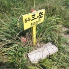 三ノ岳三角点