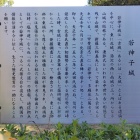 大城パネル