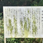 登城口パネル