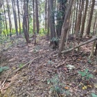 腰郭