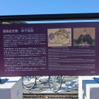 新案内版