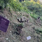 登り石垣