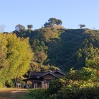 花の段から本丸を臨む