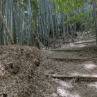 登城路