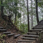 茶臼山砦の堀切