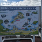 遊覧船の航路図