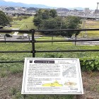 ④	展望台より水城を眺める（当時は左上の山まで続いていた）
