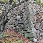 ⑨	鴻臚館西側に隣接する二ノ丸の石垣（黒田長政の石垣）